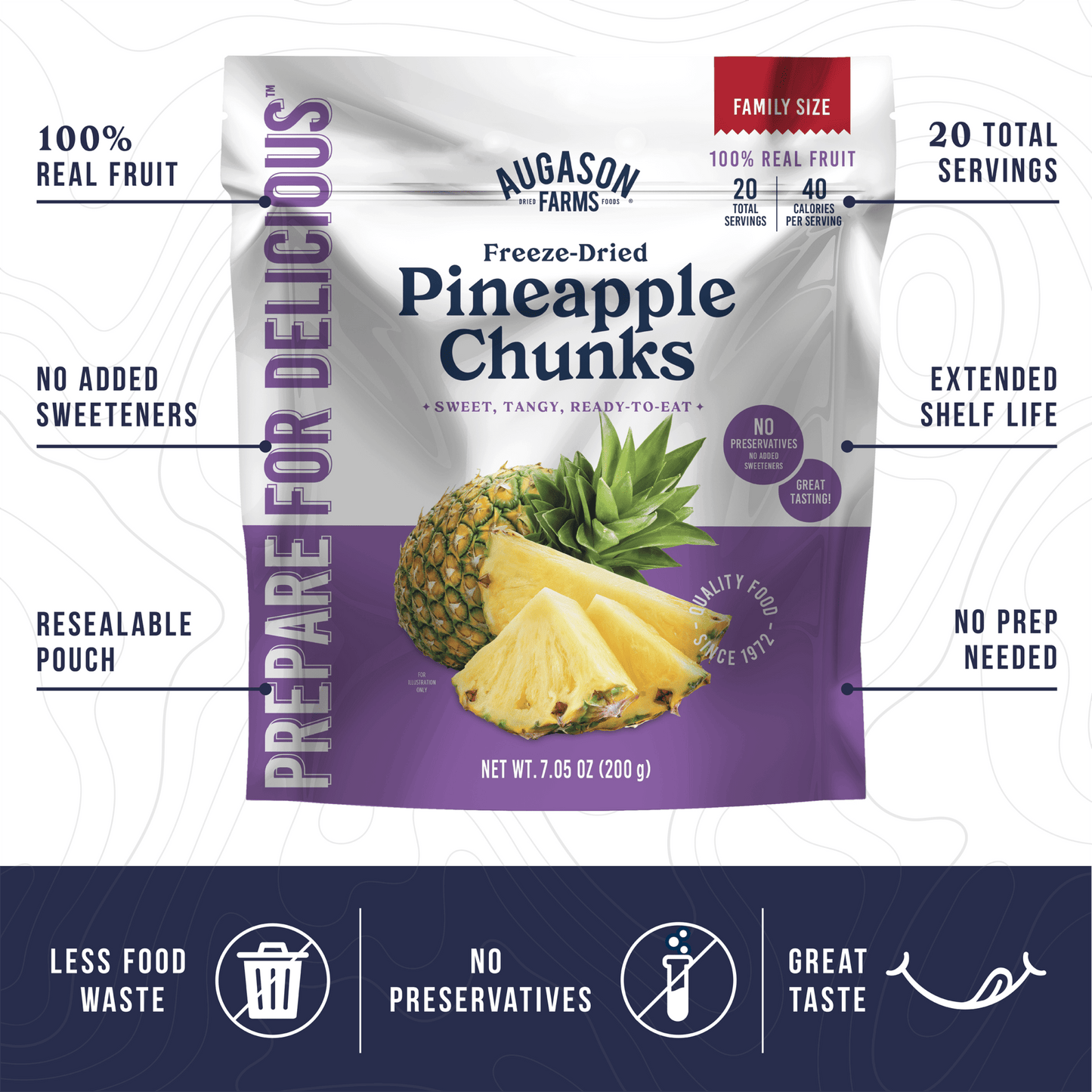 Freeze Dried Pineapple Pieces Family Size Pouch, 20 Servings