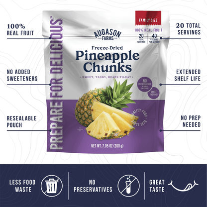 Freeze Dried Pineapple Pieces Family Size Pouch, 20 Servings