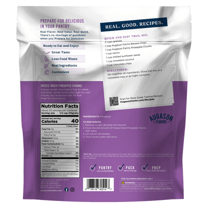 Freeze Dried Pineapple Pieces Family Size Pouch, 20 Servings