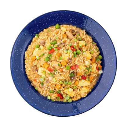 Mountain House Chicken Fried Rice - Pouch